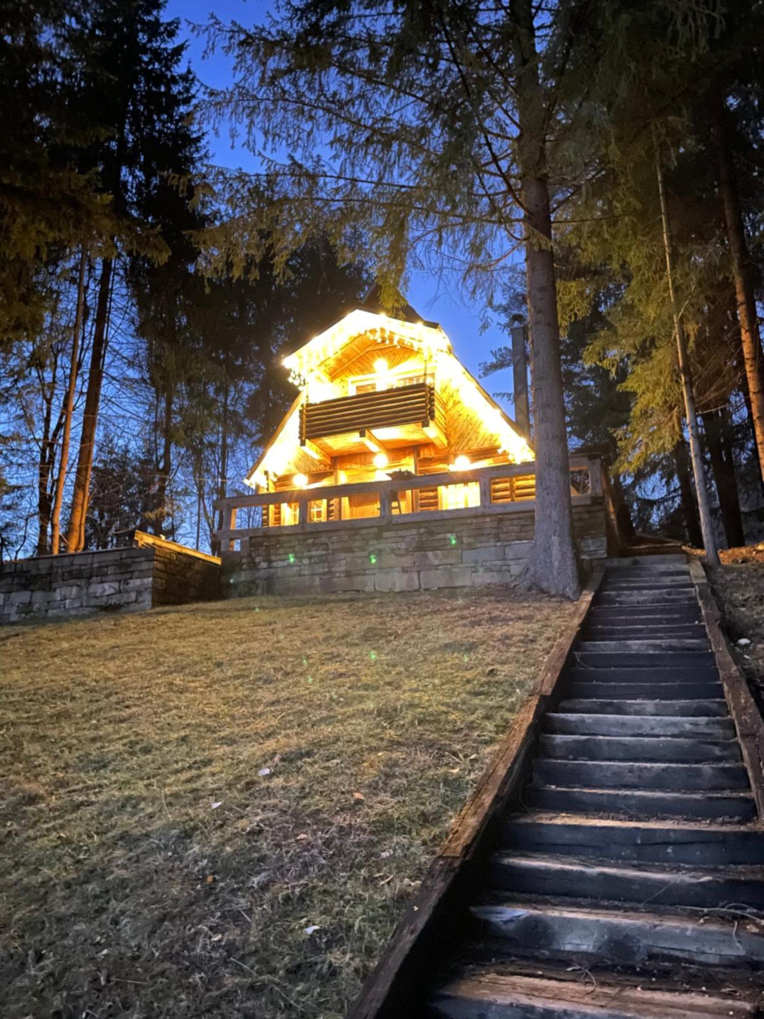 Cabana Craita Вишово-Вижнє Екстер'єр фото
